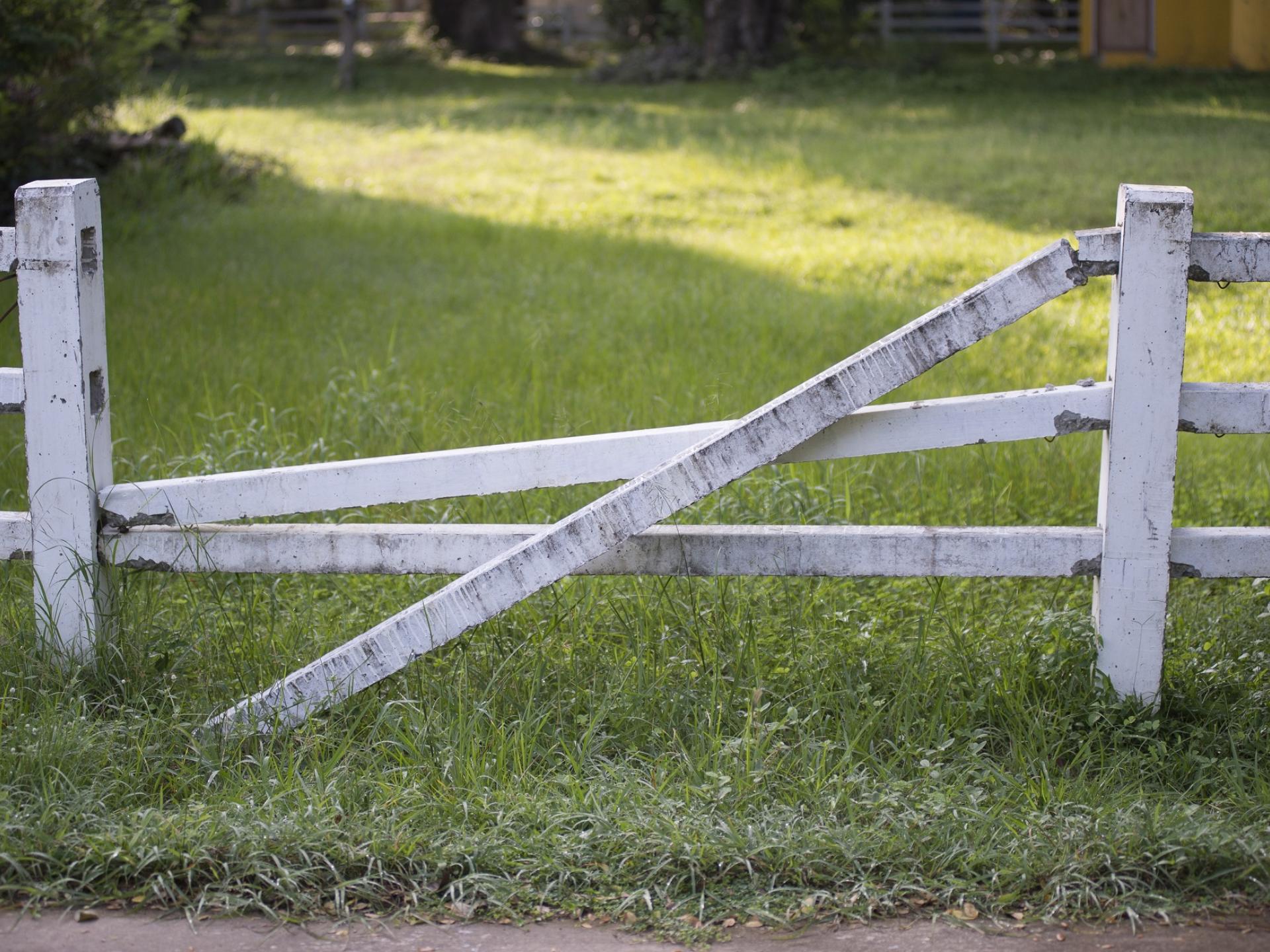 spring over hvor gærdet er lavest